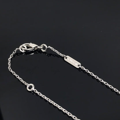 [⭐Novea]CLOVER PIETERSITE SILVER LONG NECKLACE